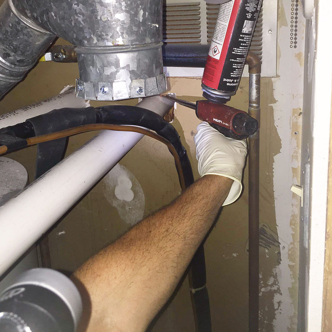 rodent-proofing-service